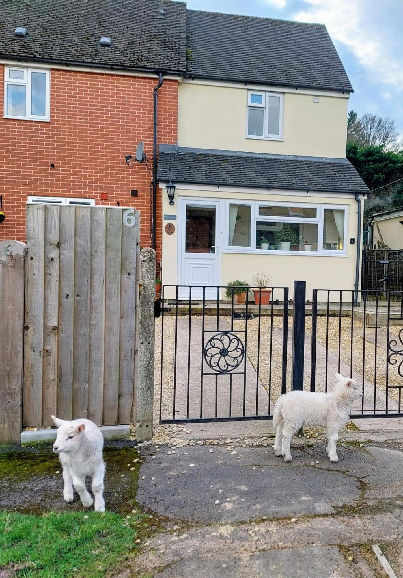 The Beehive - Self Catering In The Heart Of The Forest Of Dean Whitecroft Exterior photo
